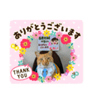 床屋さんの看板猫、人気猫ミー②（個別スタンプ：14）