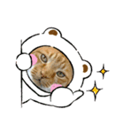 床屋さんの看板猫、人気猫ミー②（個別スタンプ：19）
