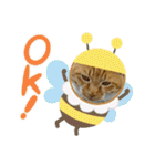 床屋さんの看板猫、人気猫ミー②（個別スタンプ：22）
