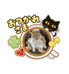 床屋さんの看板猫、人気猫ミー②（個別スタンプ：26）
