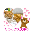 床屋さんの看板猫、人気猫ミー②（個別スタンプ：28）