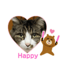 我家の猫はなちゃんスタンプ（個別スタンプ：7）
