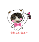 我家の猫はなちゃんスタンプ（個別スタンプ：10）