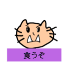 Crazy cat with cat（個別スタンプ：17）