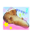 だいきちごきげん（個別スタンプ：1）