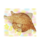 だいきちごきげん（個別スタンプ：2）