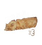 だいきちごきげん（個別スタンプ：4）
