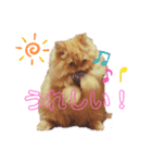 だいきちごきげん（個別スタンプ：7）