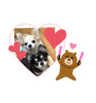 みーちゃんとルイくん2（個別スタンプ：4）