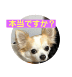 みーちゃんとルイくん2（個別スタンプ：5）