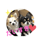 みーちゃんとルイくん2（個別スタンプ：15）