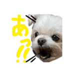 暴れん坊犬 なな＆ルカ 2（個別スタンプ：2）
