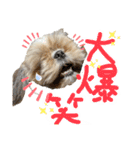 暴れん坊犬 なな＆ルカ 2（個別スタンプ：3）