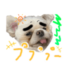 暴れん坊犬 なな＆ルカ 2（個別スタンプ：4）