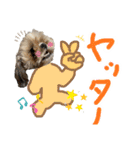 暴れん坊犬 なな＆ルカ 2（個別スタンプ：5）
