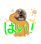 暴れん坊犬 なな＆ルカ 2（個別スタンプ：8）