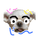 暴れん坊犬 なな＆ルカ 2（個別スタンプ：11）