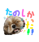 暴れん坊犬 なな＆ルカ 2（個別スタンプ：13）