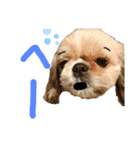 暴れん坊犬 なな＆ルカ 2（個別スタンプ：16）