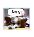 ベターのスタンプ2（個別スタンプ：3）