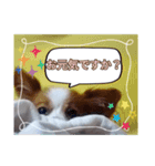 ベターのスタンプ2（個別スタンプ：4）