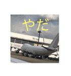 airplane絶景（個別スタンプ：14）