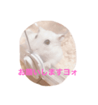もふもふハムスター（個別スタンプ：5）