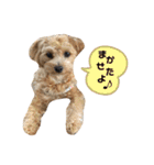 サンタ＆ダッフィー 2（個別スタンプ：6）