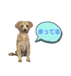 サンタ＆ダッフィー 2（個別スタンプ：10）