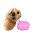 サンタ＆ダッフィー 2（個別スタンプ：14）
