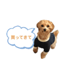 サンタ＆ダッフィー 2（個別スタンプ：27）