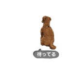 サンタ＆ダッフィー 2（個別スタンプ：39）