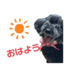 丹羽みゆスタンプ（個別スタンプ：1）