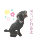 丹羽みゆスタンプ（個別スタンプ：8）