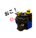 うちのニャンズ(トーガとマルニ)（個別スタンプ：2）