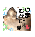 猫のはるたん。あつまれぇー！（個別スタンプ：2）