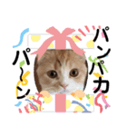 猫のはるたん。あつまれぇー！（個別スタンプ：4）