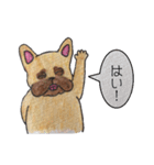 フレンチブルドッグ スタンプ2（個別スタンプ：6）
