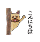 フレンチブルドッグ スタンプ2（個別スタンプ：12）