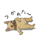 フレンチブルドッグ スタンプ2（個別スタンプ：19）