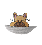 フレンチブルドッグ スタンプ2（個別スタンプ：20）