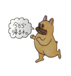 フレンチブルドッグ スタンプ2（個別スタンプ：31）