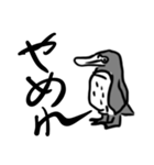 もう少し会話は慎重にした方がいいペンギン（個別スタンプ：1）