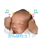 心陽スタンプver3（個別スタンプ：26）