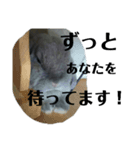 うさぎのモモと長介。（個別スタンプ：3）