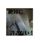 うさぎのモモと長介。（個別スタンプ：8）