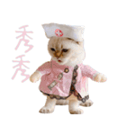 ウイニの猫（個別スタンプ：14）