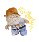 ウイニの猫（個別スタンプ：16）
