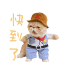 ウイニの猫（個別スタンプ：22）