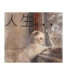 ウイニの猫（個別スタンプ：29）